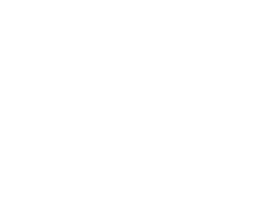 логотип aldo-coppola