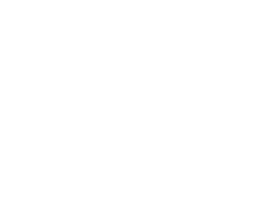 логотип damiani-white