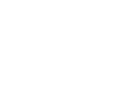 логотип dior-white