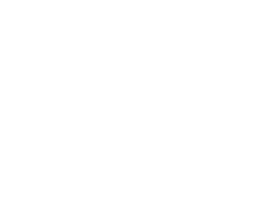 логотип polo