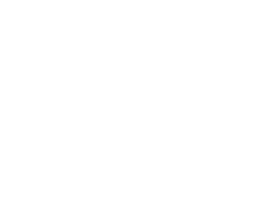 логотип santoni-white